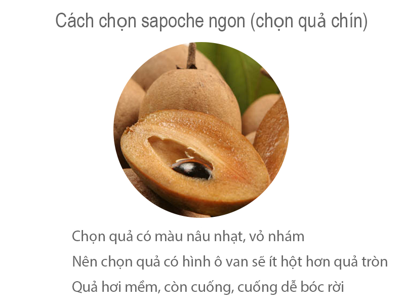 Sapoche (Khoảng 6 - 8 trái/kg)