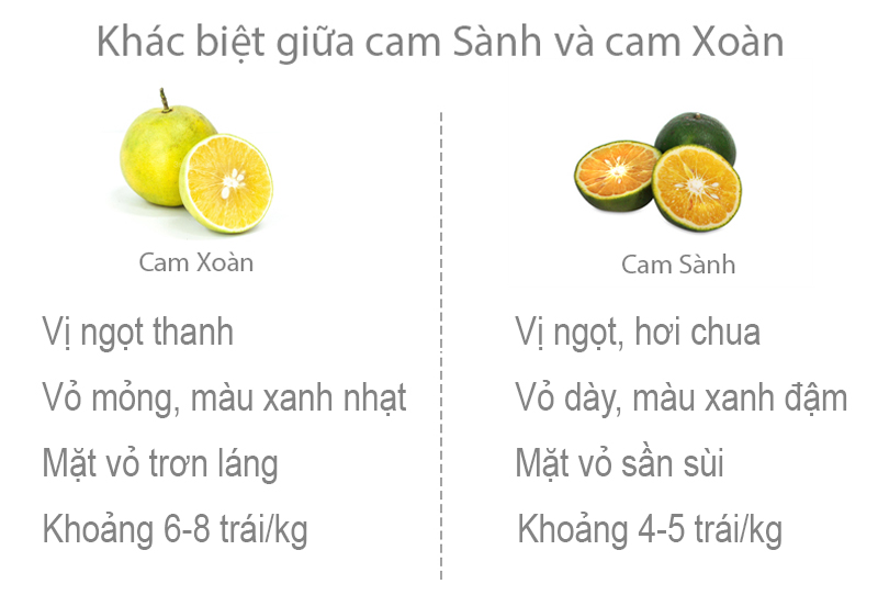 Cam Xoàn (Khoảng 6 - 8 trái/kg)