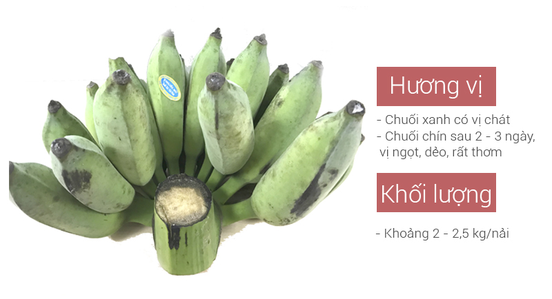 Chuối sư xanh có vị chát, khoảng 2 - 2.5 kg/nải