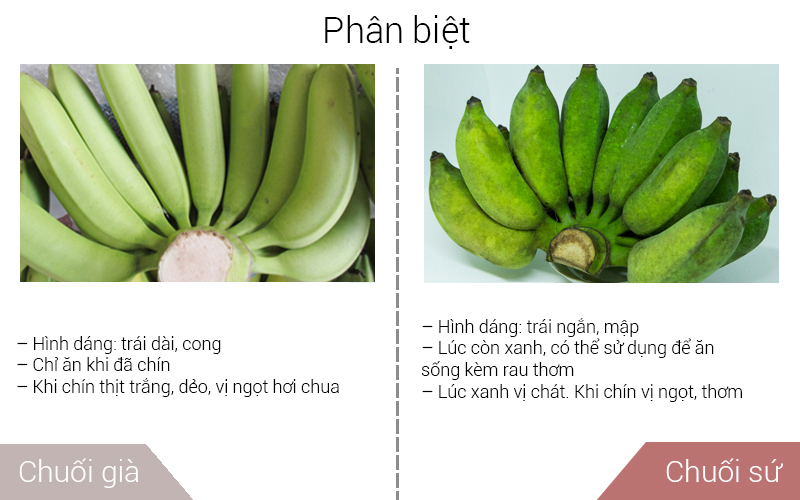 Phân biệt chuối sứ và chuối già dựa vào hình dáng, hương vị