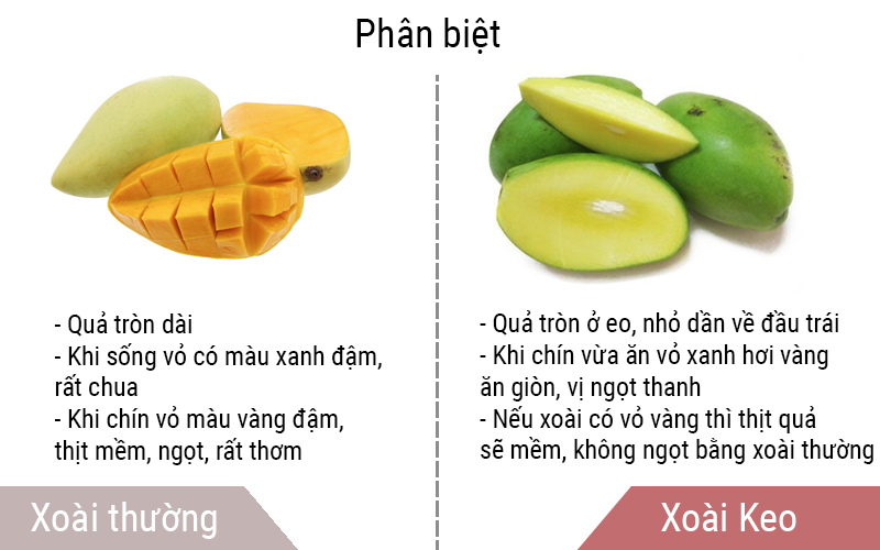 Xoài keo tròn ở eo, nhỏ dần về đầu trái 