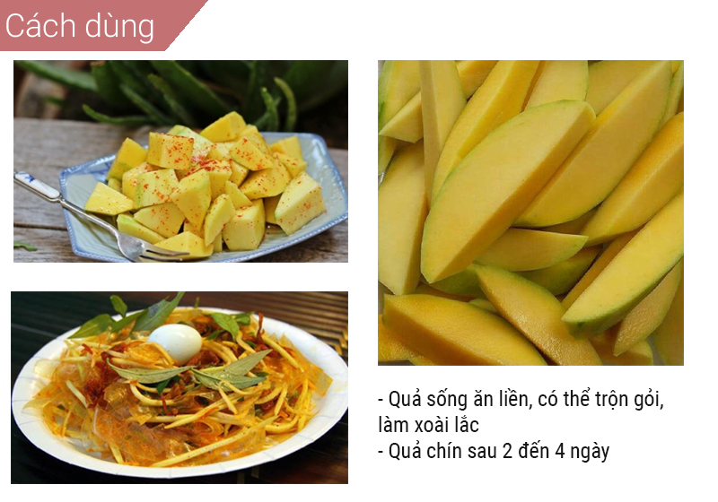 Xoài keo dùng làm xoài lắc, bánh tráng trộn 