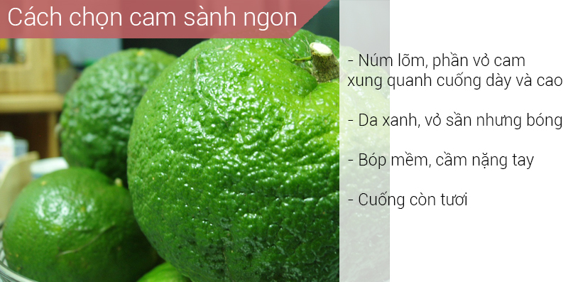 Cam sành ngon da xanh, vỏ sần, bóp mềm, cầm nặng tay, cuống còn tươi