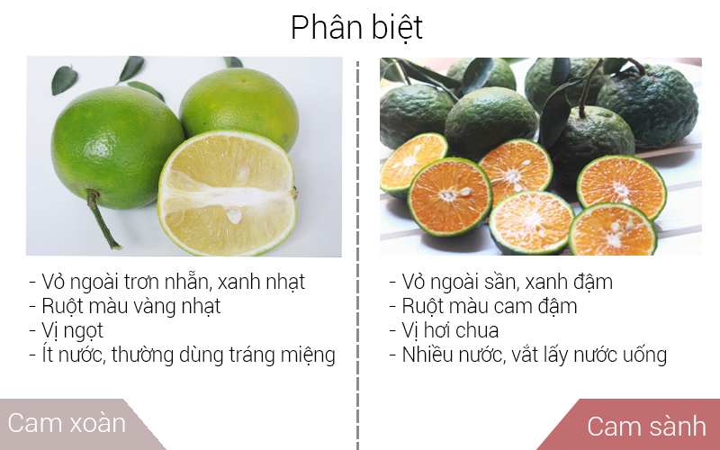 Phân biệt cam sành với cam xoàn dựa vào vỏ, màu sắc ruột và vị 