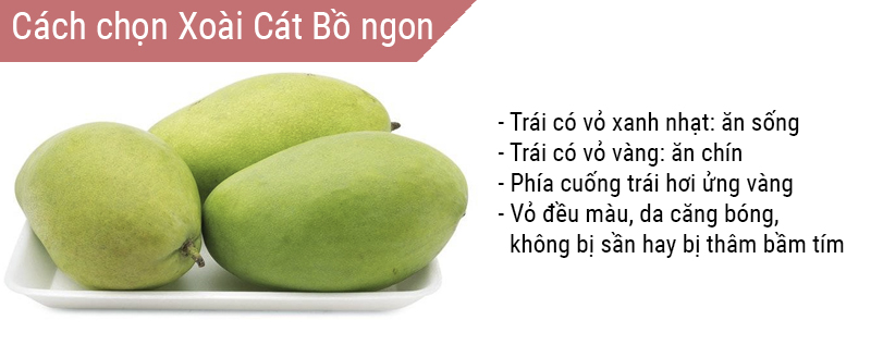 Xoài cát bồ chọn trái có vỏ đều màu, da căng bóng 