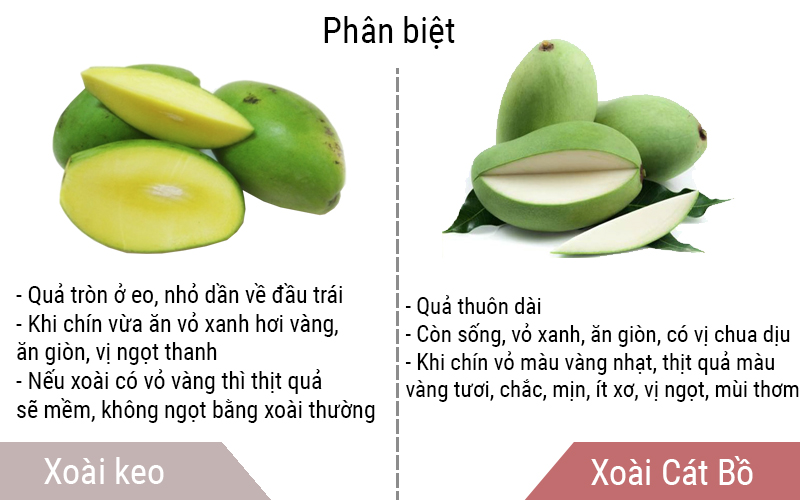 Xoài cát bồ có thịt quả màu vàng tươitươi, chắc, mịn 