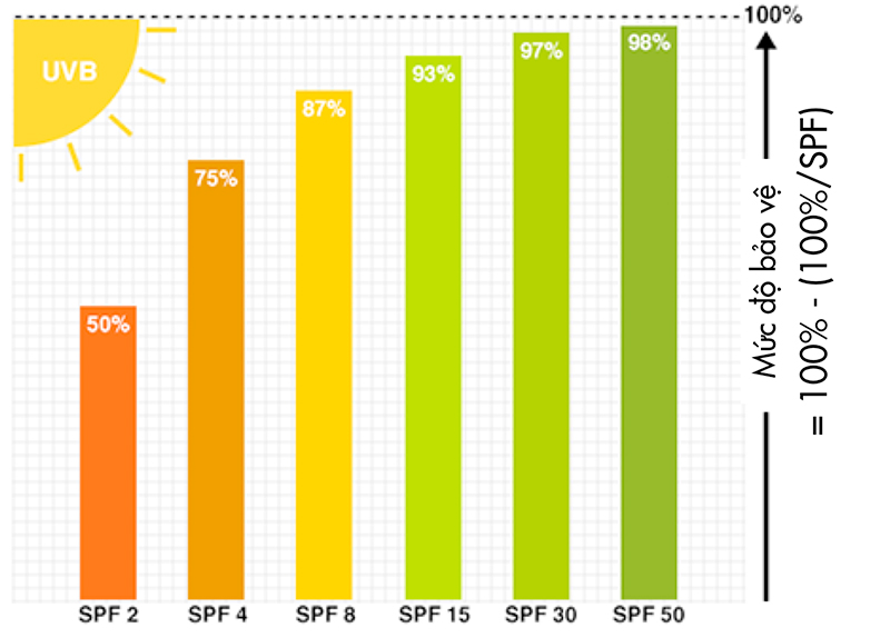 SPF và Vai Trò Bảo Vệ Da Trước Tia UVB