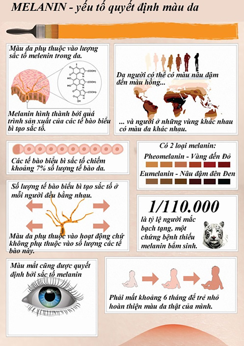 Sắc tố melanin là gì? Tìm hiểu hình thành thâm, nám do melanin gây ra