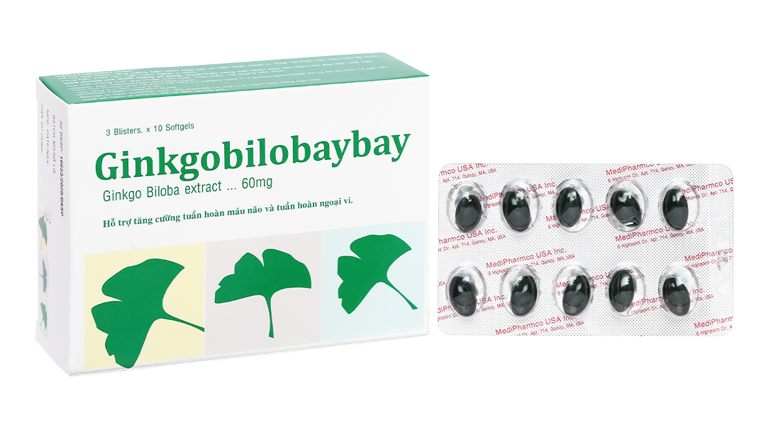 Ginkgobilobaybay tăng cường tuần hoàn máu não
