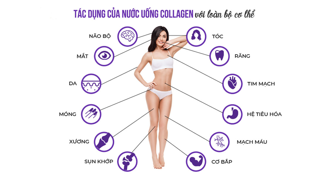 Nước đông trùng hạ thảo Hector + Collagen giúp giảm lão hóa Nước đông trùng hạ thảo Hector + Collagen giúp giảm lão hóa