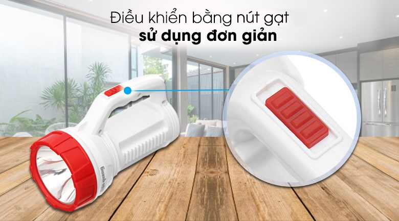 Đèn pin sạc Điện Quang ĐQ PFL08 R WR