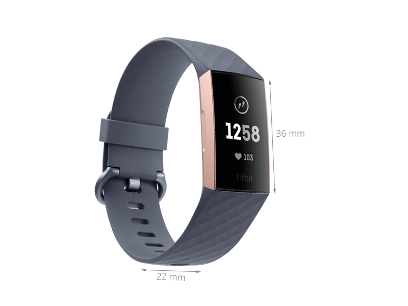 Vòng đeo thông minh Fitbit Charge 3