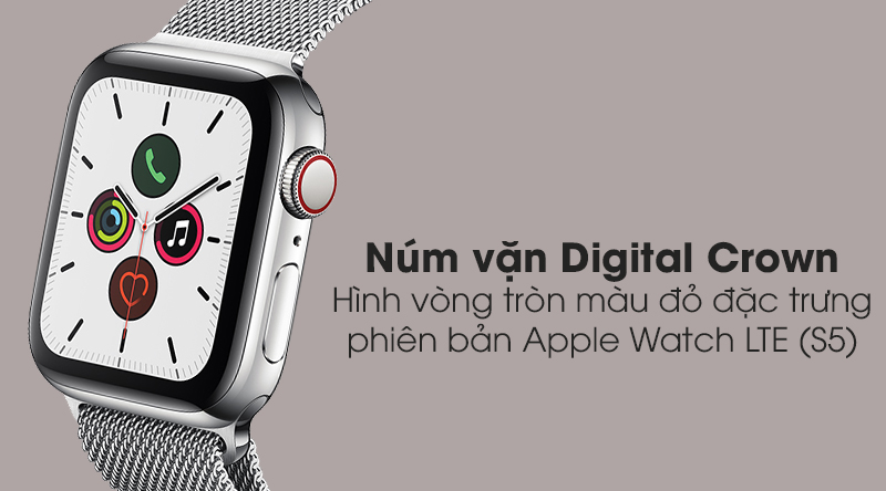 Apple Watch S5 LTE 40mm viền thép dây thép với núm vặn giúp người dùng không nhầm lẫn 2 phiên bản LTE và GPS