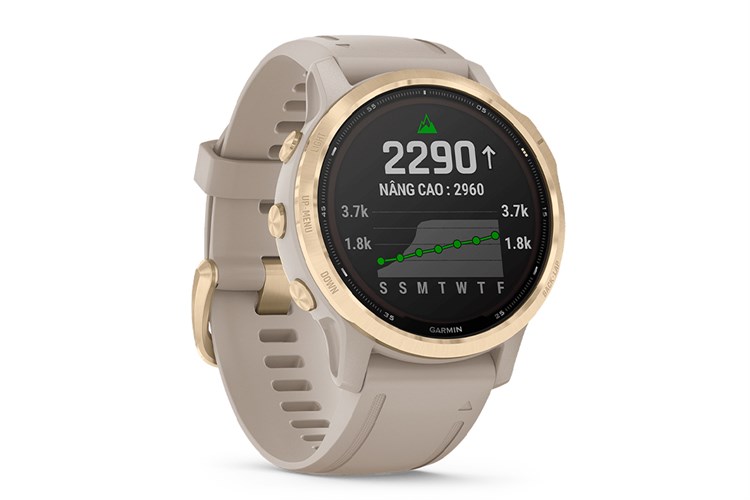 Đồng hồ thông minh Garmin Fenix 6S Pro Solar 42mm Xám Màu Xám