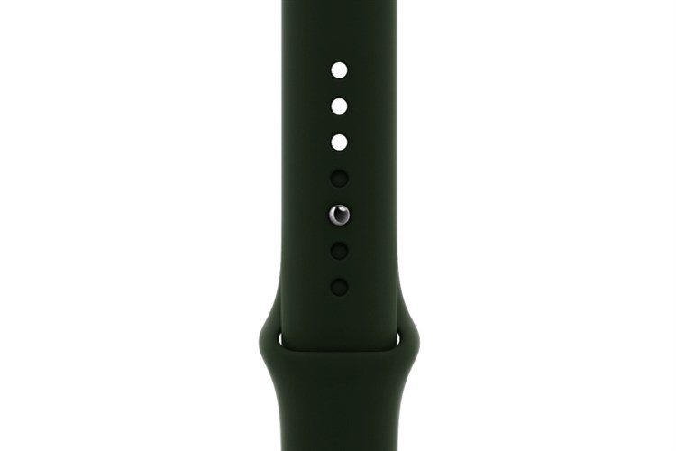 Đồng hồ thông minh Apple Watch S6 LTE 40mm viền thép dây silicone Màu Xanh lá