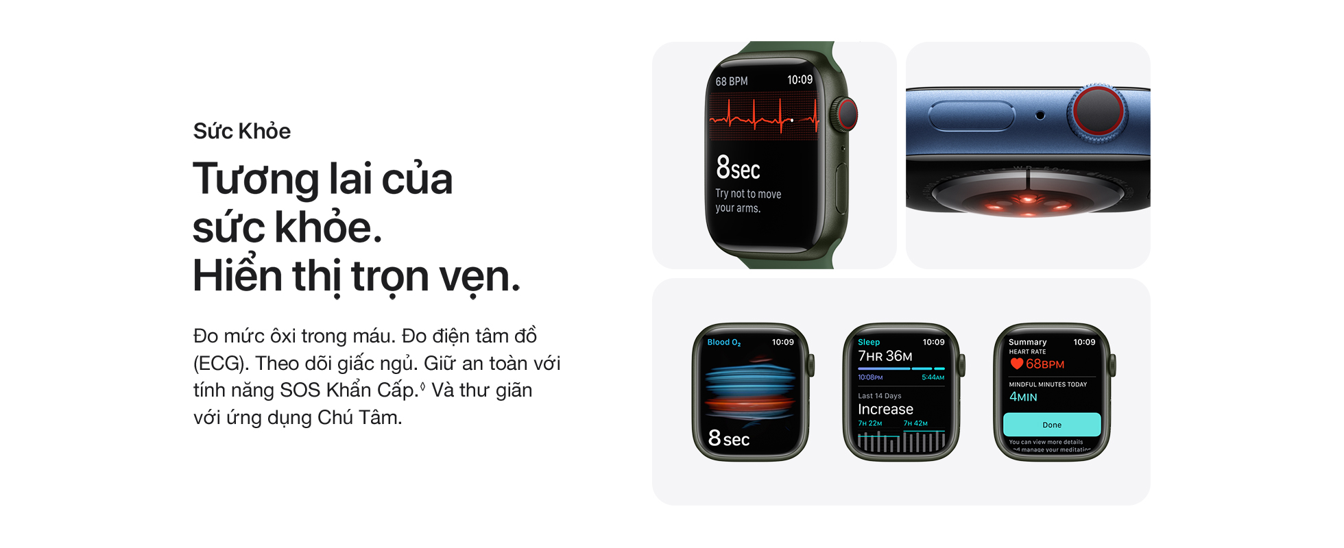 Apple Watch Series 7 GPS 41mm - Sức khoẻ