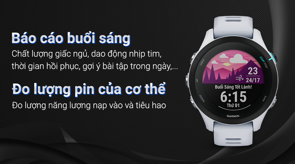 Garmin Forerunner 255S Music - Báo cáo buổi sáng