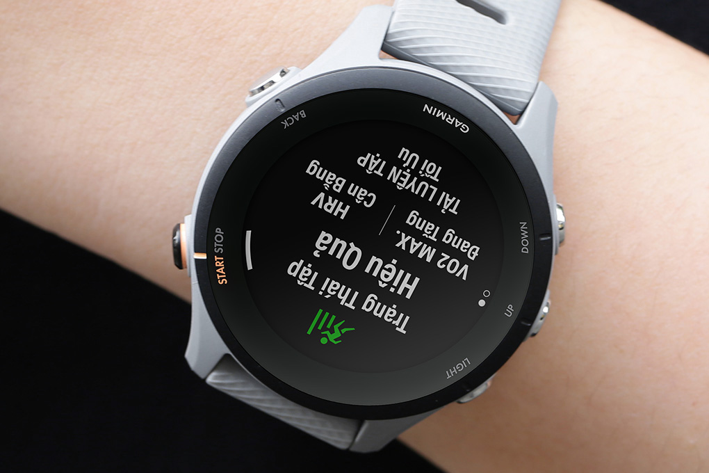 Đồng hồ thông minh Garmin Forerunner 255S 41mm - 9
