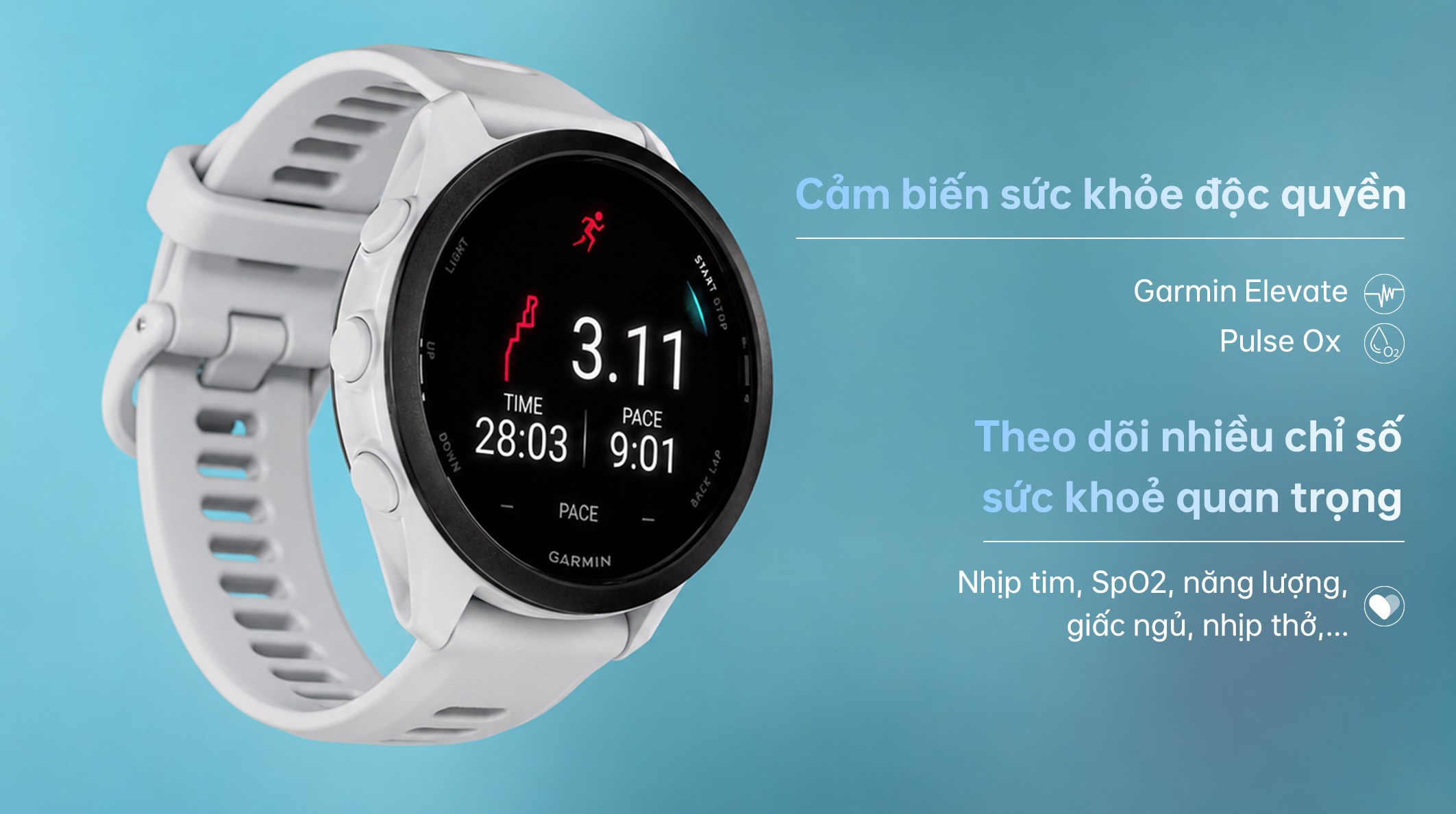 Garmin Forerunner 70 42.6mm dây silicone