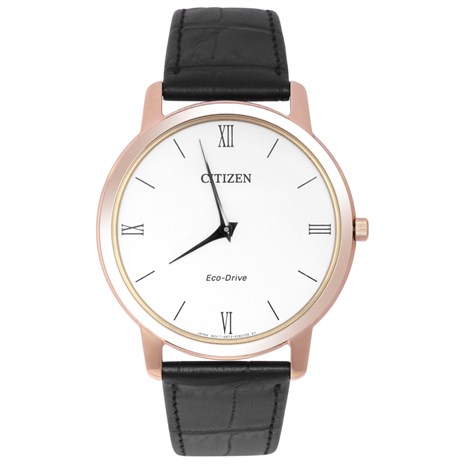 Đồng hồ CITIZEN 39 mm Nam AR1133-23A Màu Đen