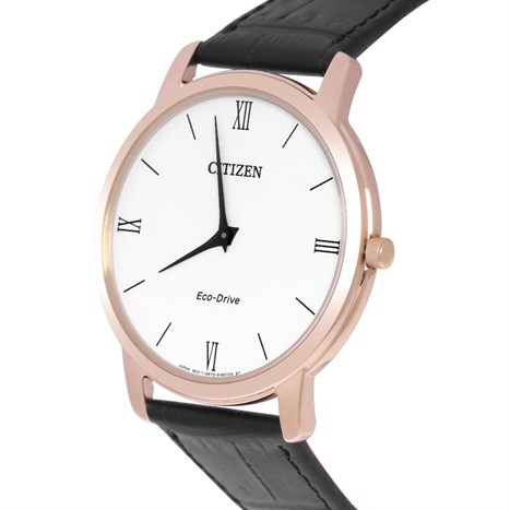 Đồng hồ CITIZEN 39 mm Nam AR1133-23A Màu Đen