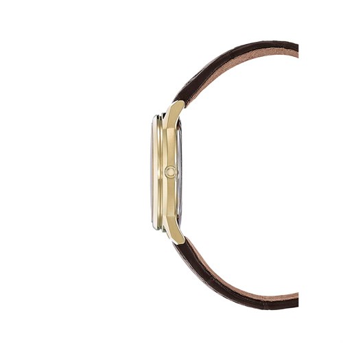 Đồng hồ CITIZEN 33 mm Nữ FE6012-11A Màu Nâu