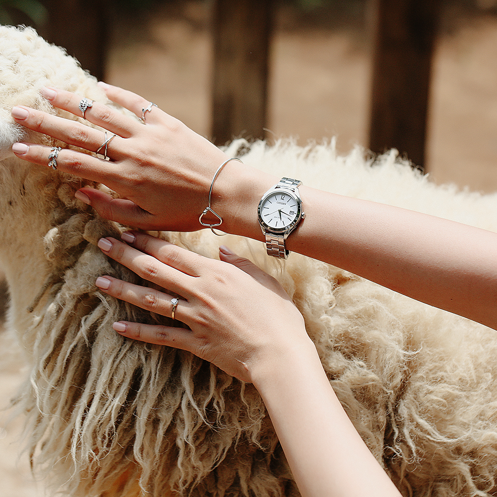 Đồng hồ CITIZEN 33.7 mm Nữ FE6141-86A