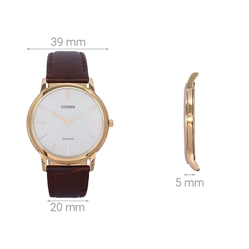 Đồng hồ CITIZEN 39 mm Nam AR1113-12A Màu Nâu