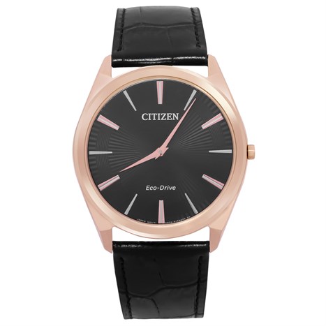 Đồng hồ Nam Citizen AR3073-06E - Eco-Drive Màu Vàng