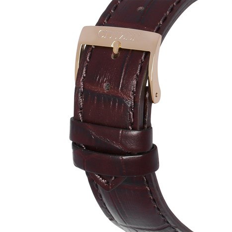 Đồng hồ CITIZEN 39.7 mm Nam AW1232-12A Màu Nâu