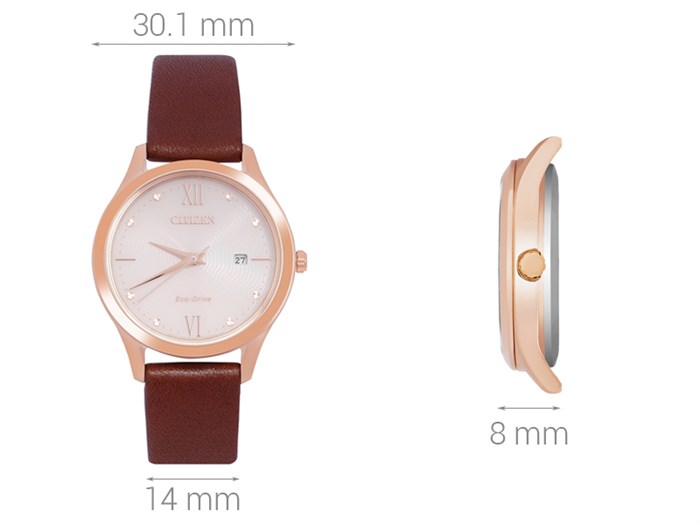 Đồng hồ CITIZEN 30.1 mm Nữ EW2533-11X Màu Nâu