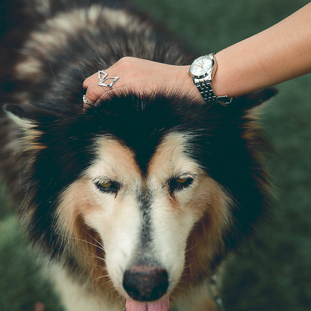 Đồng hồ ORIENT 28 mm Nữ SSZ3W001W0