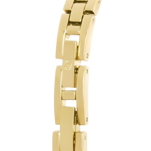 Đồng hồ ANNE KLEIN 24.2 mm Nữ AK/1868GBST Màu Vàng