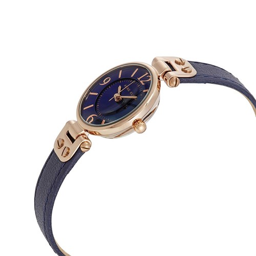 Đồng hồ ANNE KLEIN 26 mm Nữ 10/9442RGNV Màu Xanh Dương