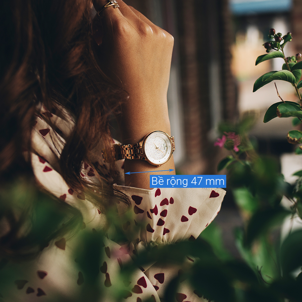 Đồng hồ FESTINA 30.5 mm Nữ F20384/1