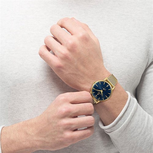 Đồng hồ Nam Festina F20253/2 Màu Vàng