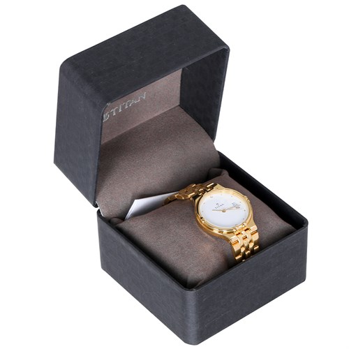 Đồng hồ TITAN 35 mm Nam 1107YM07 Màu Vàng