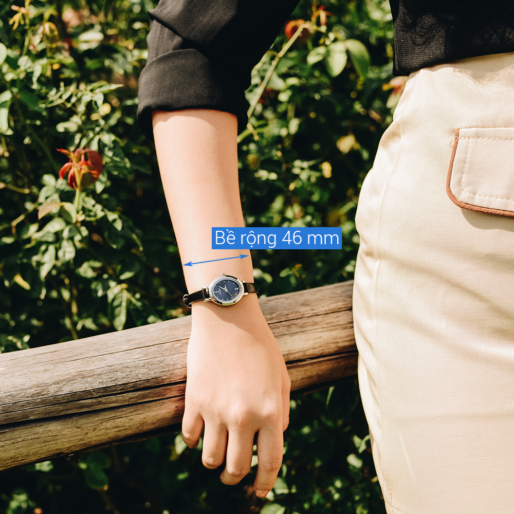 Đồng hồ TITAN 22 mm Nữ 2599SL01