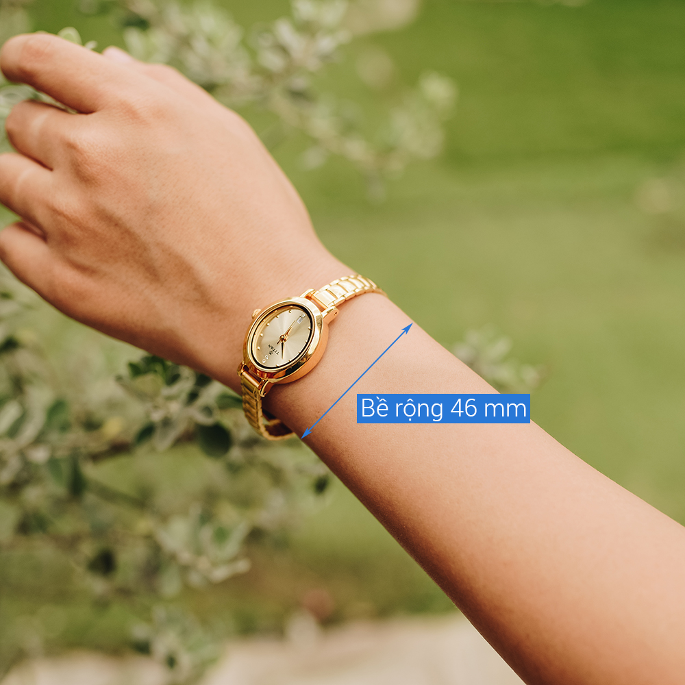 Đồng hồ TITAN 22 mm Nữ 2599YM01