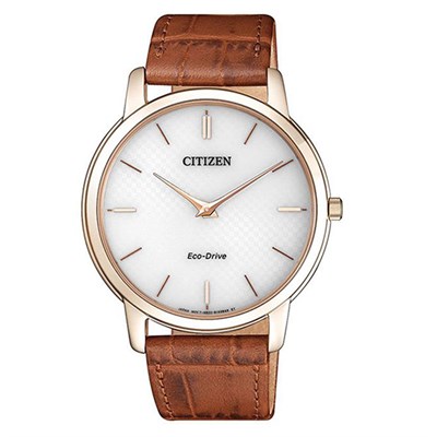 Đồng hồ Nam Citizen AR1133-15A - Eco-Drive