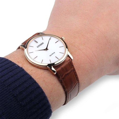 Đồng hồ CITIZEN 39 mm Nam AR1133-15A Màu Nâu