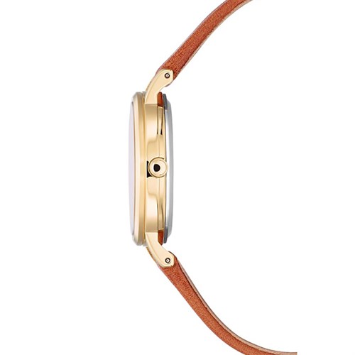 Đồng hồ CITIZEN 30 mm Nữ EM0578-17A Màu Nâu