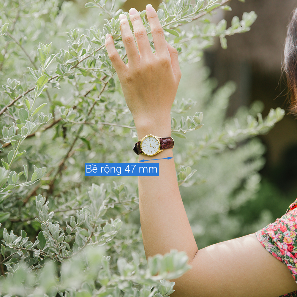 Đồng hồ CASIO 27 mm Nữ LTP-1183Q-7ADF