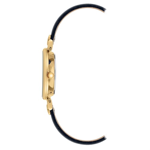 Đồng hồ ANNE KLEIN 30 mm Nữ AK/2156CHNV Màu Đen