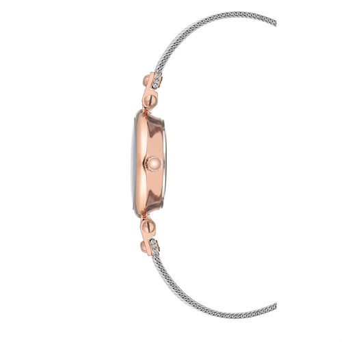 Đồng hồ ANNE KLEIN 26 mm Nữ AK/3003SVRT Màu Bạc