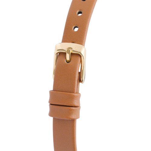 Đồng hồ TITAN 28.5 mm Nữ 2575YL01 Màu Nâu