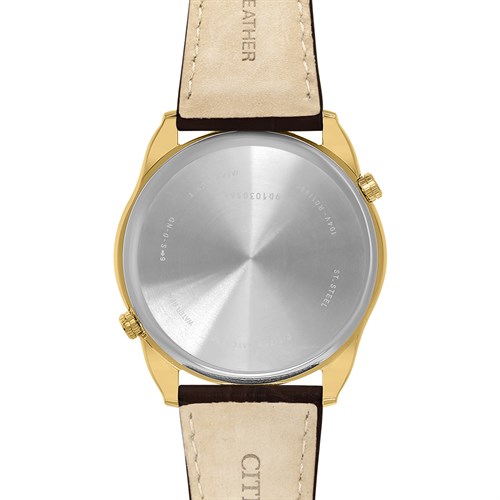 Đồng hồ CITIZEN 44 mm Nam AO3032-02A Màu Nâu