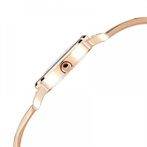 Đồng hồ CITIZEN 26 mm Nữ EZ6373-58L Màu Vàng