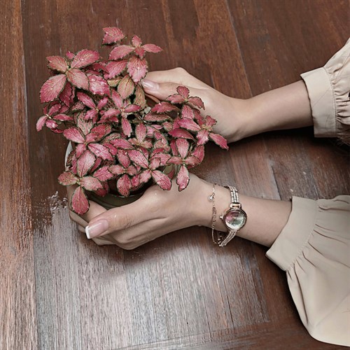 Đồng hồ Nữ Julius JS-035B Màu Màu combo