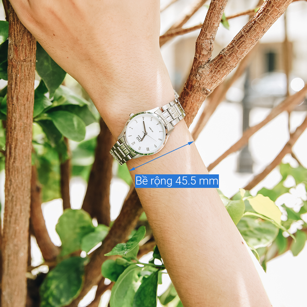 Đồng hồ Q&Q 27 mm Nữ S329J204Y